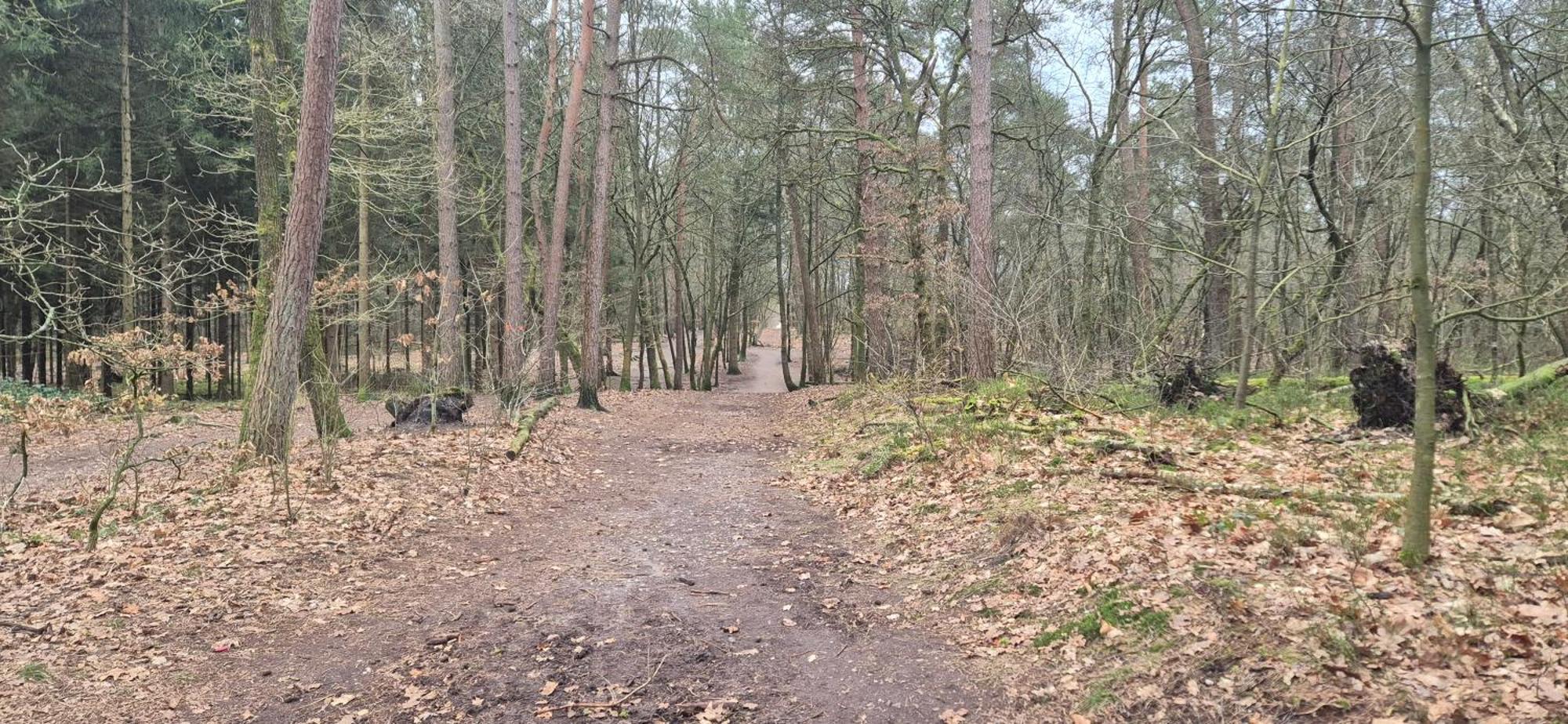 Het Veluwse Boshuisje Knus Chalet Met Omheinde Tuin Op De Veluwe โฮนเดอร์โล ภายนอก รูปภาพ