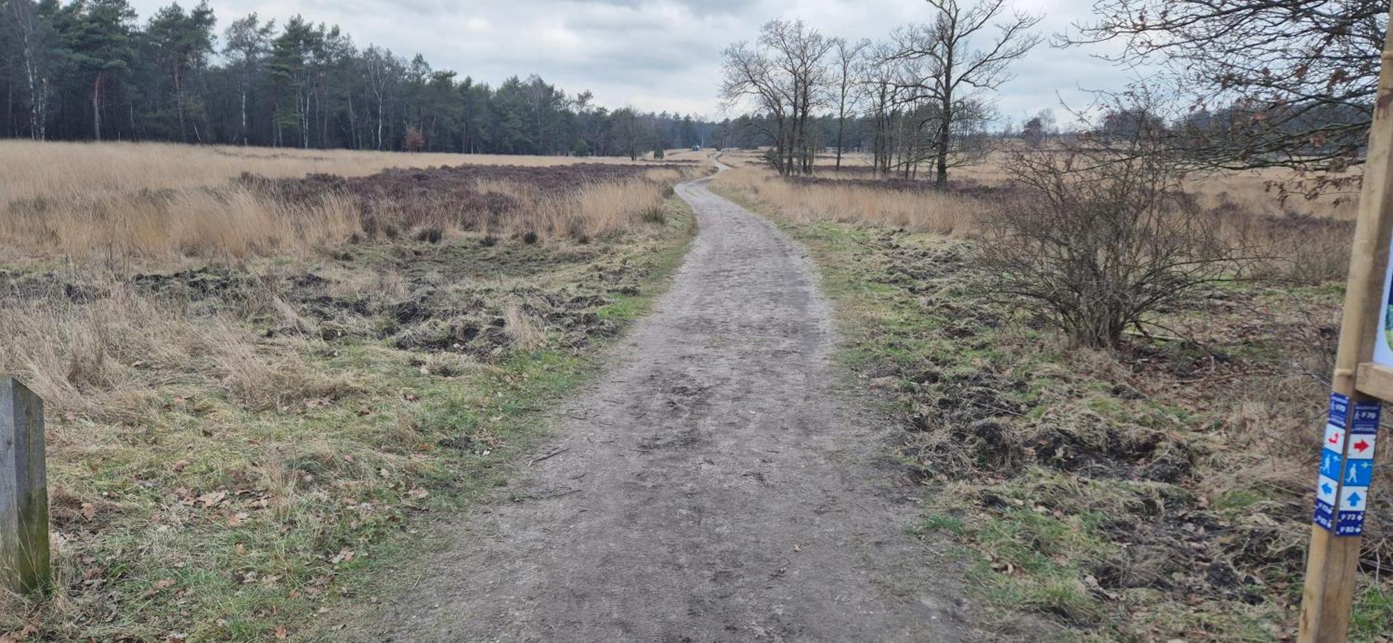 Het Veluwse Boshuisje Knus Chalet Met Omheinde Tuin Op De Veluwe โฮนเดอร์โล ภายนอก รูปภาพ