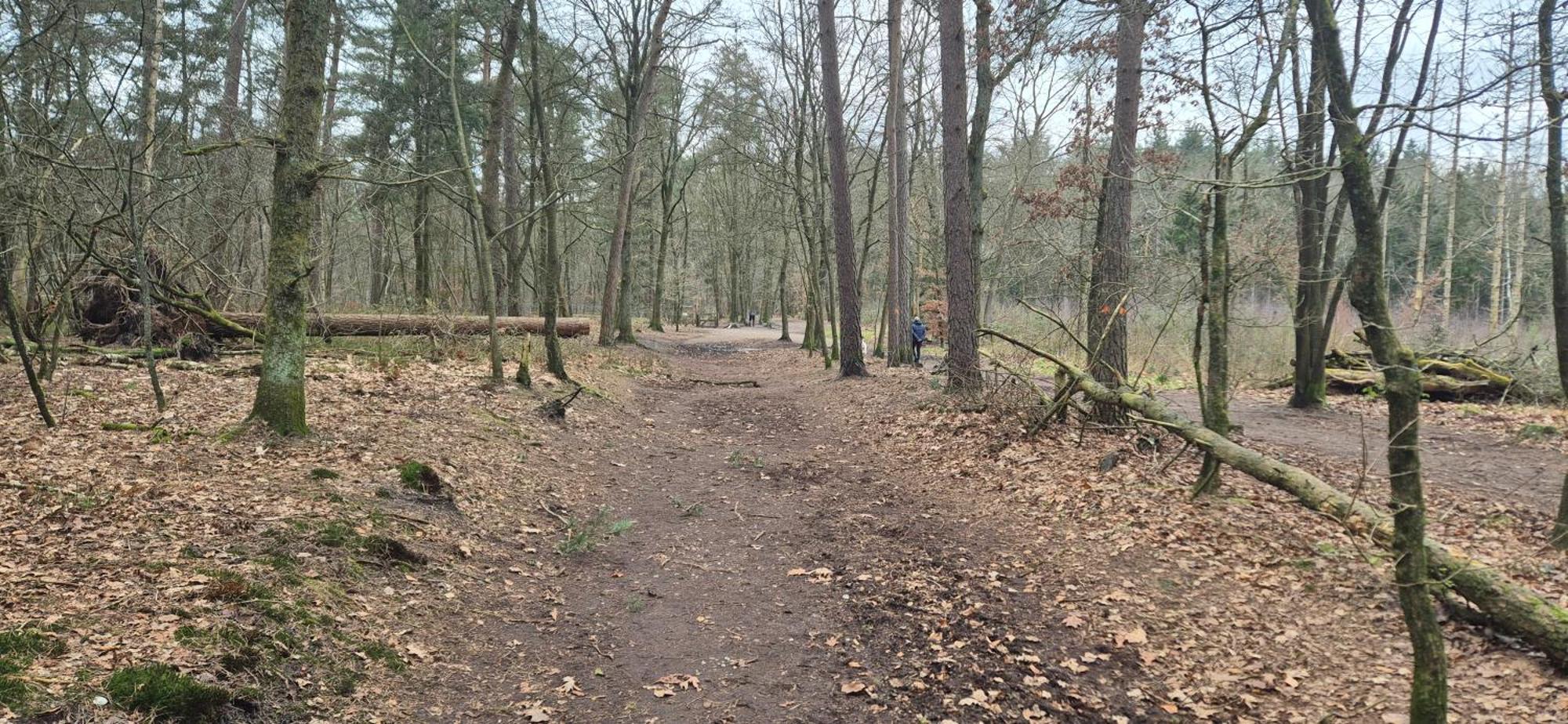 Het Veluwse Boshuisje Knus Chalet Met Omheinde Tuin Op De Veluwe โฮนเดอร์โล ภายนอก รูปภาพ