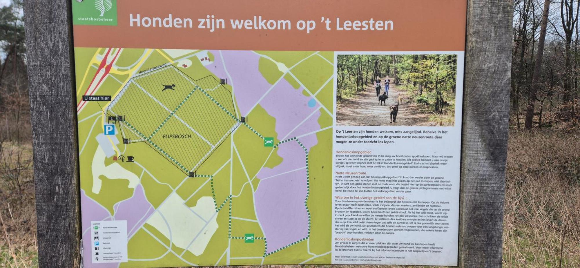 Het Veluwse Boshuisje Knus Chalet Met Omheinde Tuin Op De Veluwe โฮนเดอร์โล ภายนอก รูปภาพ