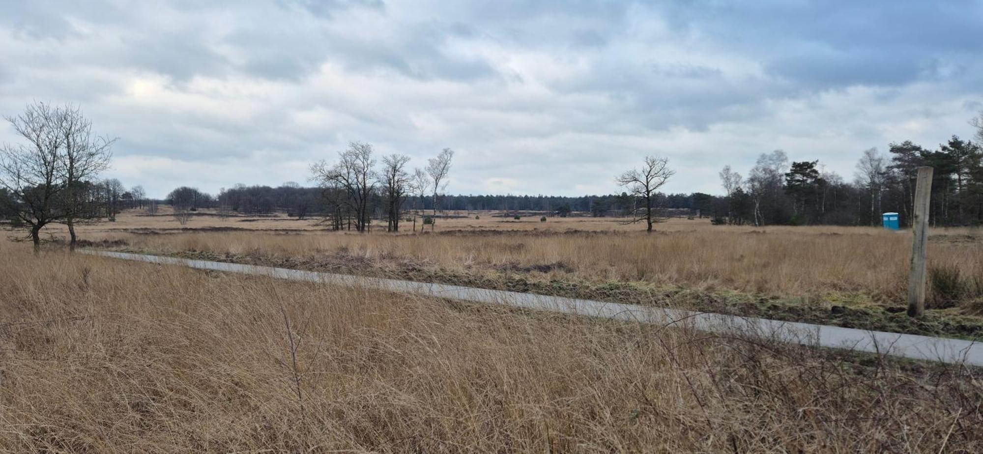 Het Veluwse Boshuisje Knus Chalet Met Omheinde Tuin Op De Veluwe โฮนเดอร์โล ภายนอก รูปภาพ